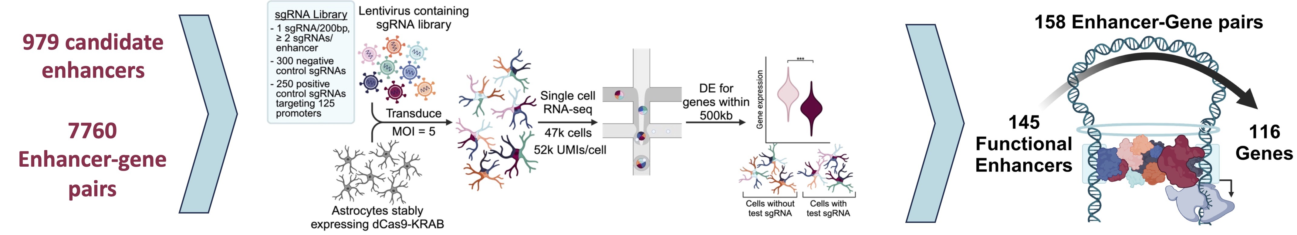 Experiment procedure overview